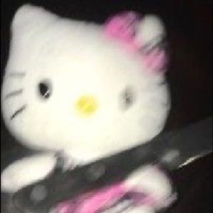 Meet your Posher, Ester